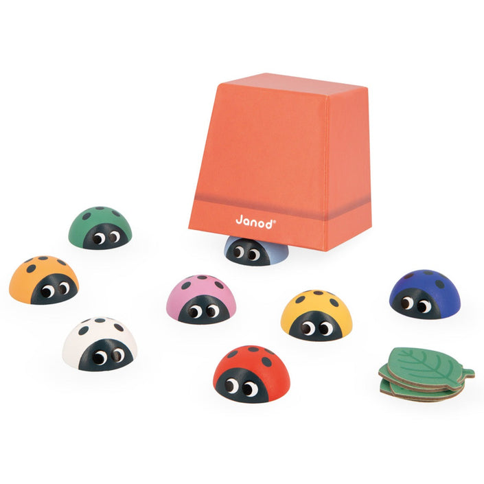 JANOD memory lieveheersbeestjes 2 jr+