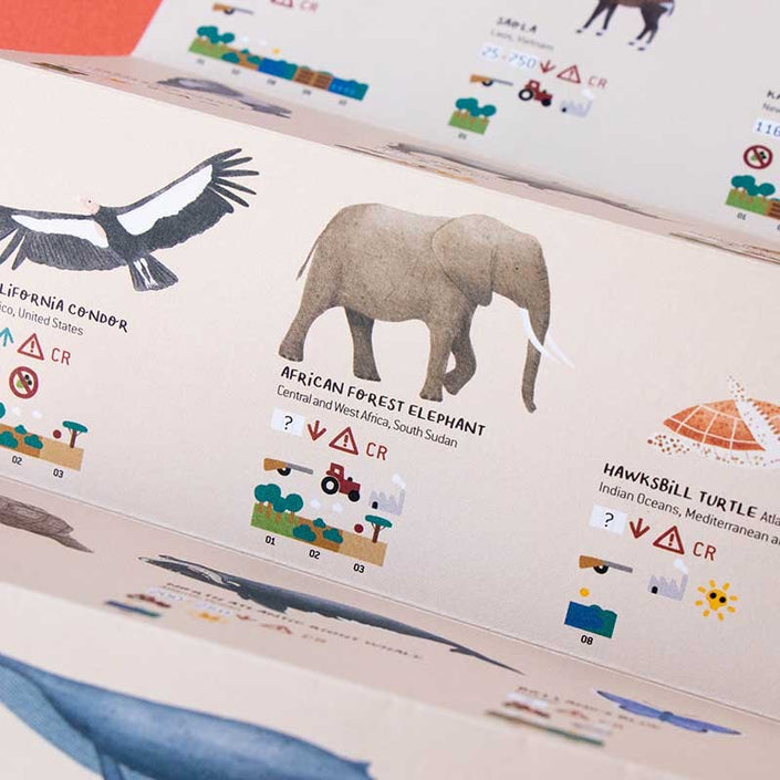 LONDJI puzzel LIFE 7 jr 200 stks 8436580428217 i