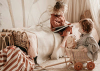 Play & Go opbergzak en speelkleed stripes brown