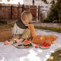 Senger Naturwelt warmteknuffel gans roest groot 2mnd 4260429480098 c