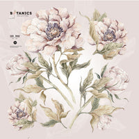 Dekornik muursticker Pioen S