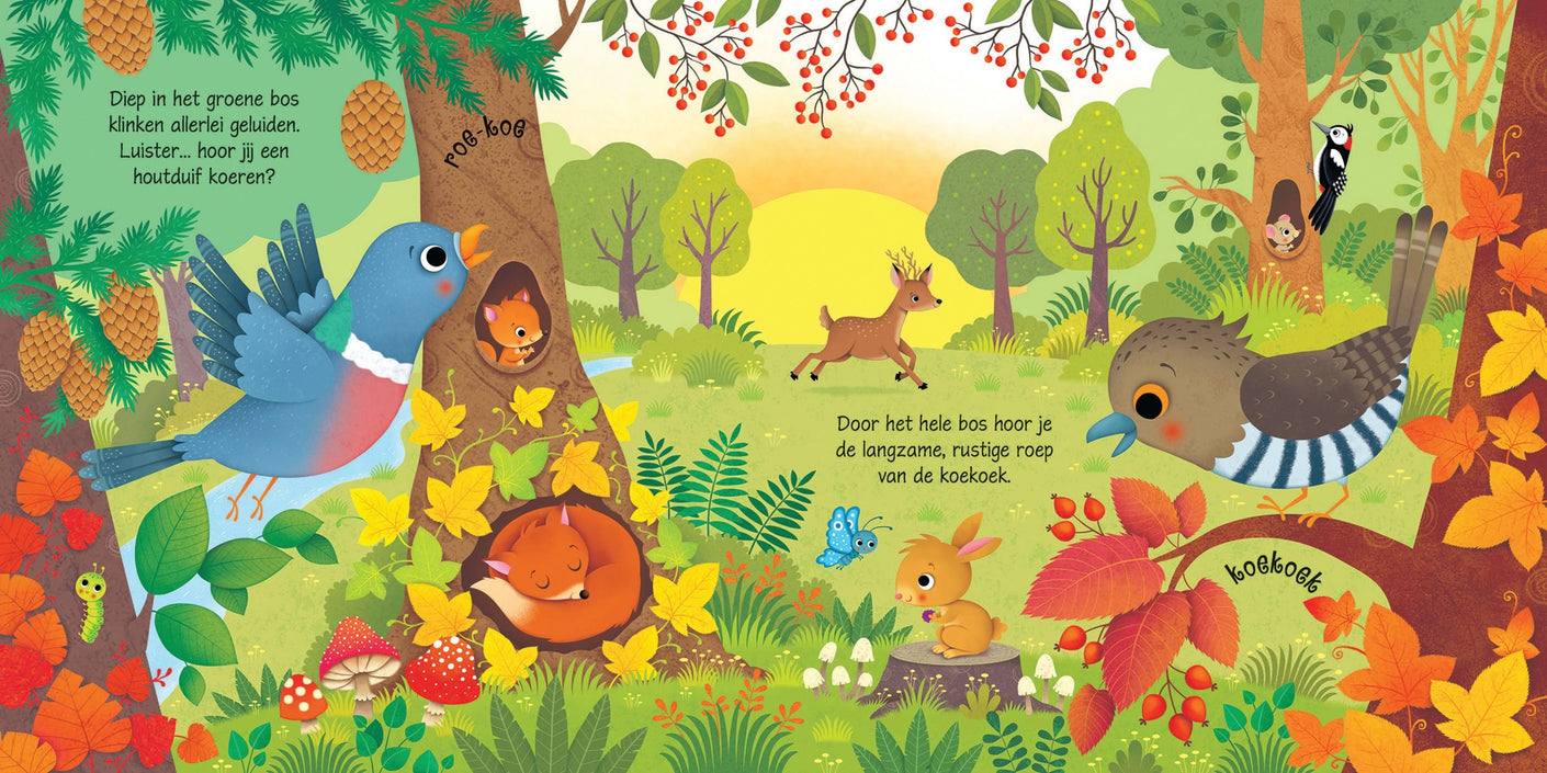 Geluiden in het bos - geluidenboek 1 jr+