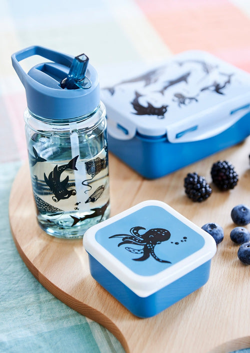 Petit Monkey trommel set Sea animals 12 x 12 cm