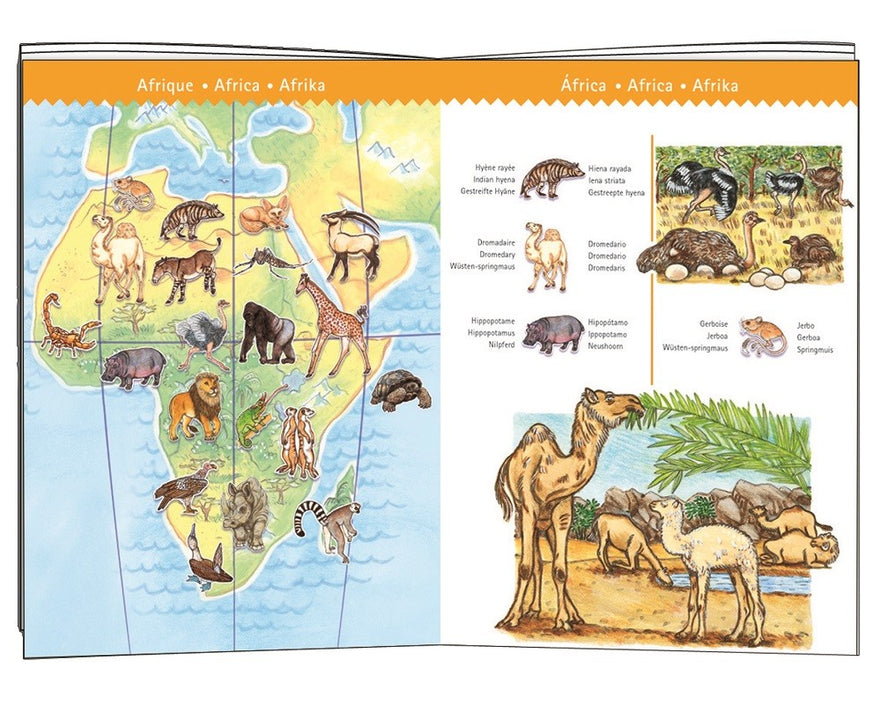DJECO observatie puzzel animals 5 jr+/ 100 stks