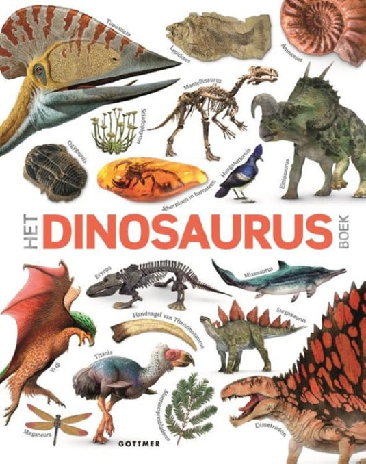 Het dinosaurusboek 8 jr+