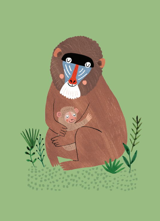 Petit Monkey ansichtkaart Mandril and cub