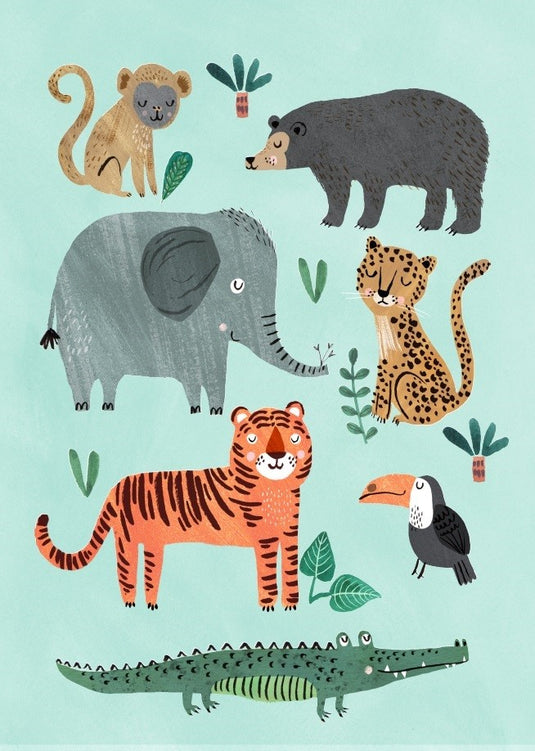Petit Monkey ansichtkaart Wild animals