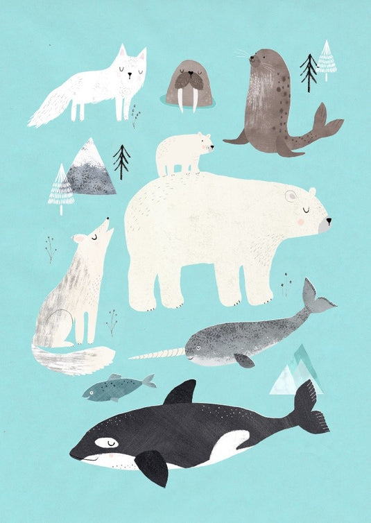 Petit Monkey ansichtkaart Artic animals