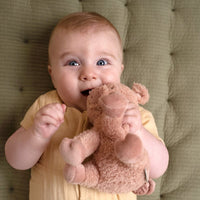 Little Dutch knuffel varken Little Farm 17 cm 0 mnd+ LD8828c