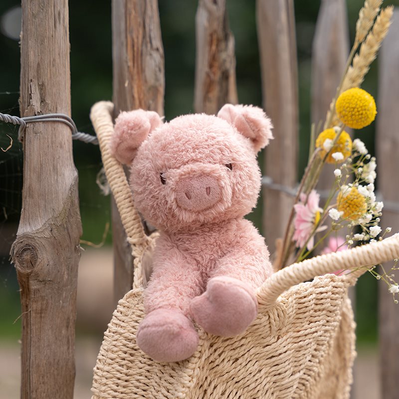 Little Dutch knuffel varken Little Farm 17 cm 0 mnd+ LD8828a