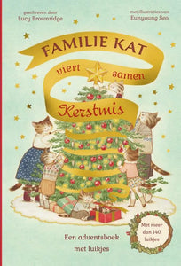 Advent boek Familie Kat viert samen kerstmis 3 jr+