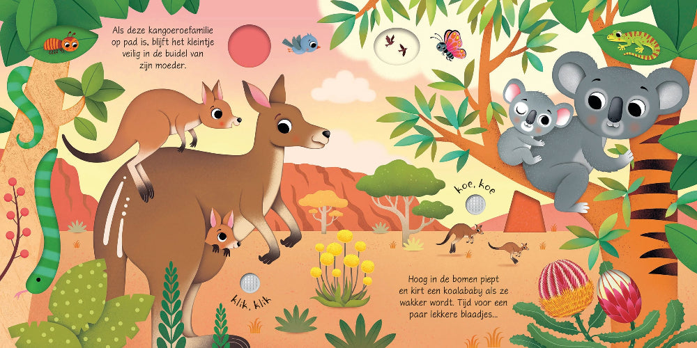 Babydieren - geluidenboek 1 jr+ kopen
