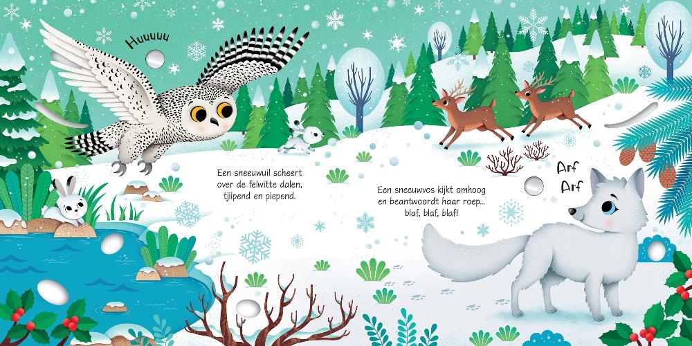 Dieren op de Noordpool - geluidenboek 3 jr+ 9781801314602