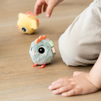 Done by Deer activiteiten kip Hide en Seek 6 mnd 5712643060611 g