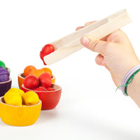 Grapat 6 bakjes met 36 eikels 8436580870085 e