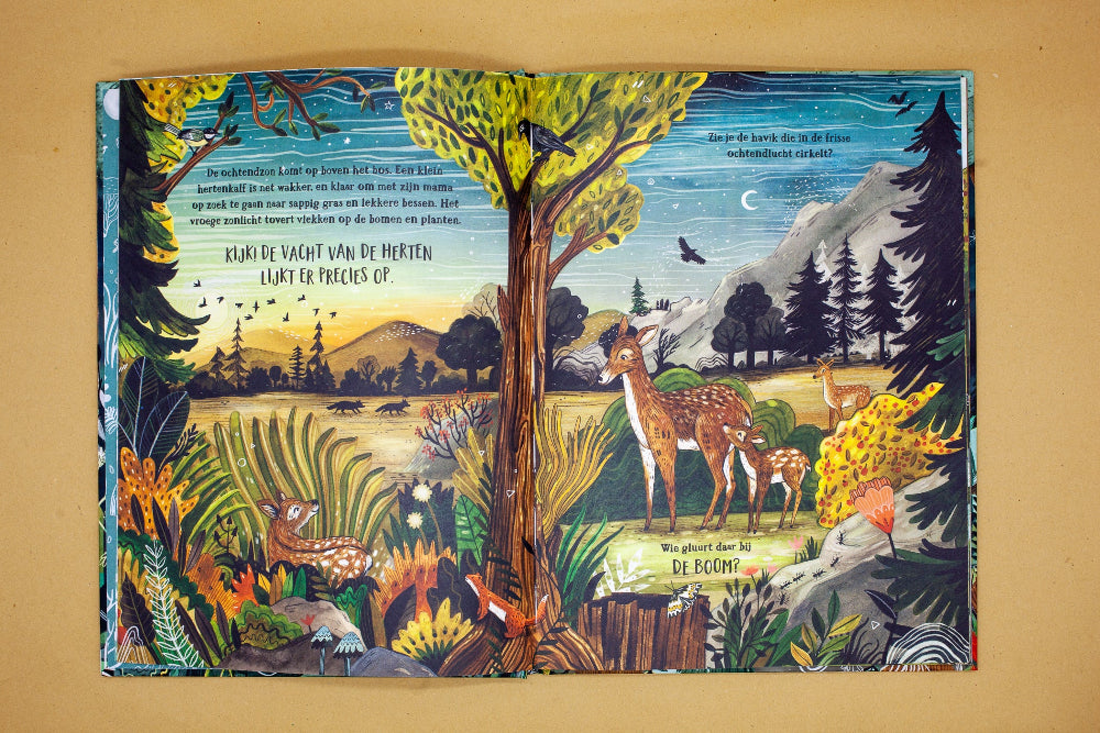 Het geheime bos 3 jr+