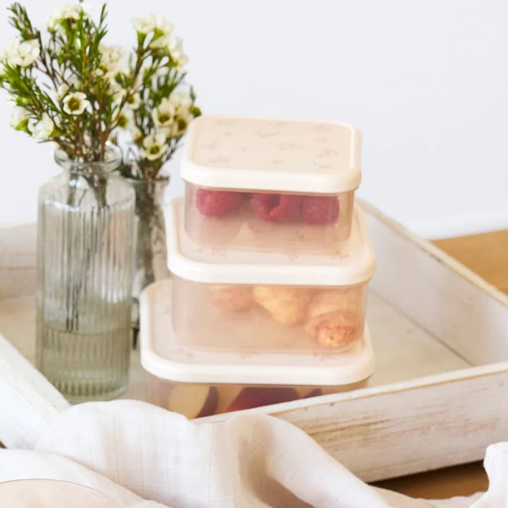 Lassig snackbox set miracle of nature 12 x 12 cm kopen