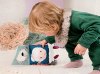 Lilliputiens activiteiten kubus Louis 9 m+