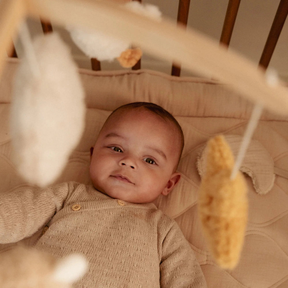 Little Dutch muziekmobiel Newborn Naturals 0 mnd+ 8713291884007