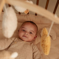 Little Dutch muziekmobiel Newborn Naturals 0 mnd+LD8400c