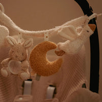 Little Dutch wagenspanner Newborn Naturals 0 mnd+LD8411c