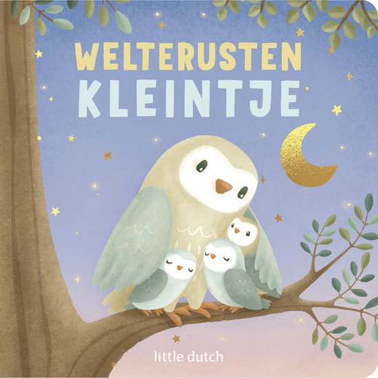 Little Dutch welterusten kleintje voorleesboekje 9789056471750 a