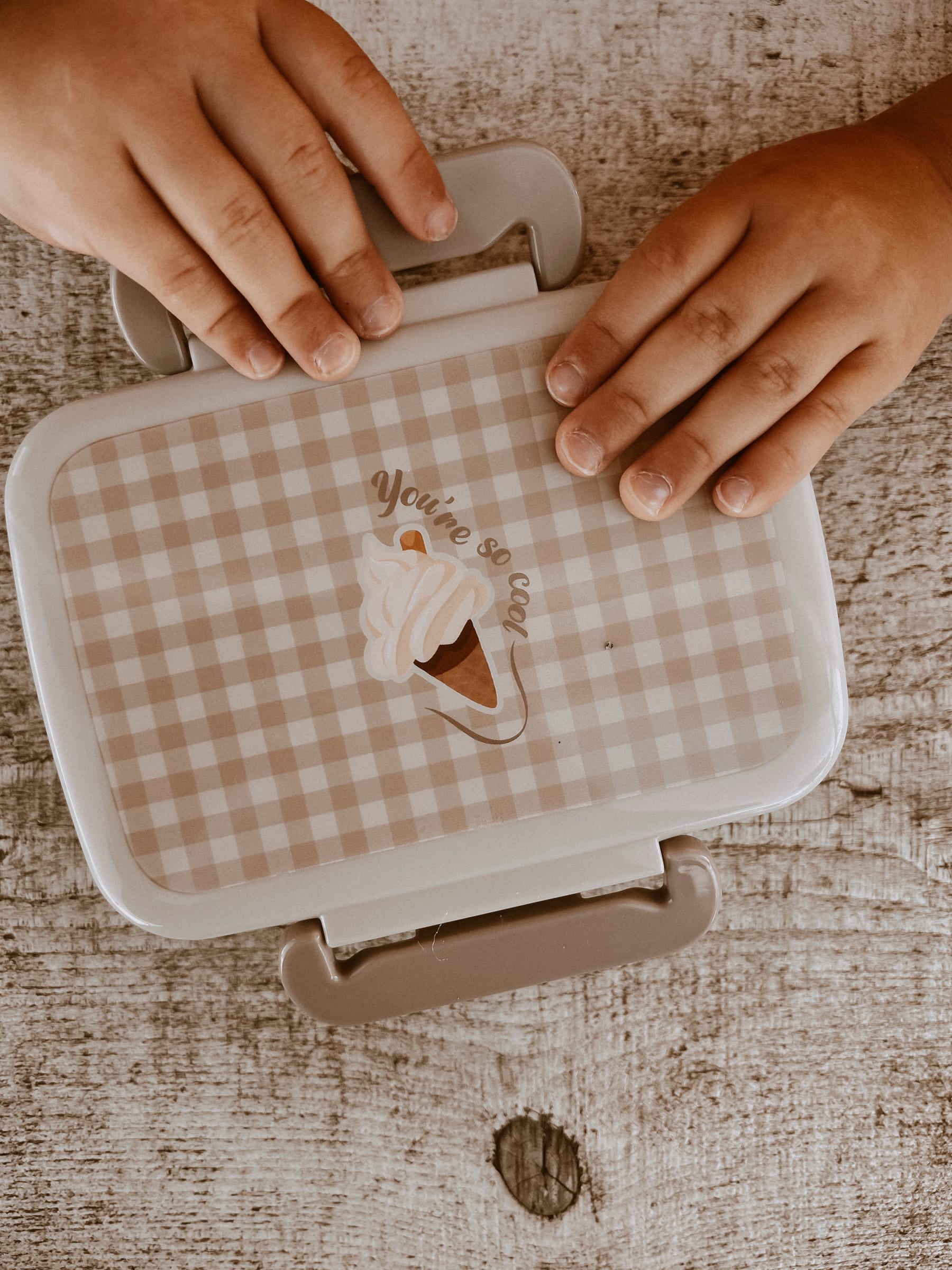 Mrs Ertha lunchbox Soft squares