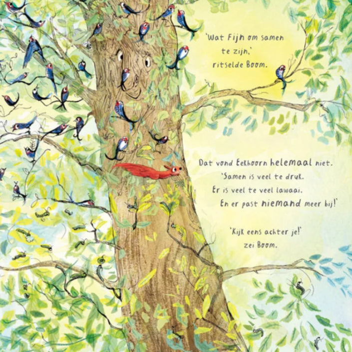 Onze boom 2 jr+VU22527b