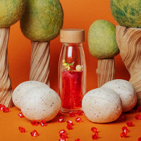 Petit Boum sensorische fles Move T-Rex C