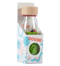 Petit Boum sensorische fles Sound Ladybird 3 mnd+PBSLADYBIRDS