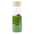 Petit Boum sensorische fles Sound Ladybird 3 mnd+PBSLADYBIRDSc