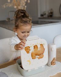 Petit Monkey bento lunchbox BearLB56B-Rd
