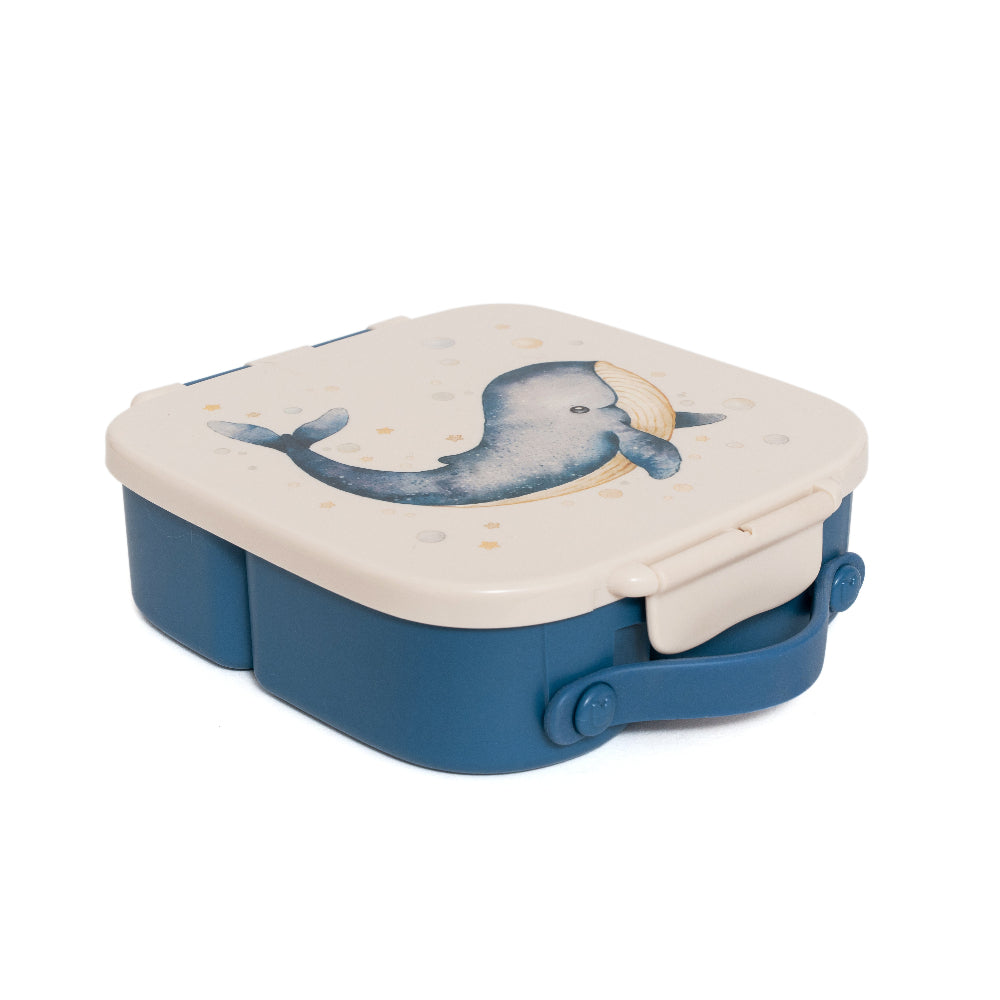 Petit Monkey bento lunchbox Whale LB57B-R