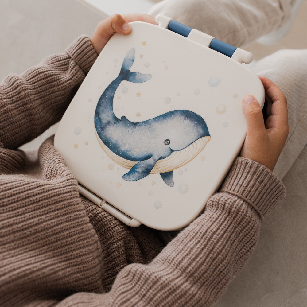 Petit Monkey bento lunchbox Whale