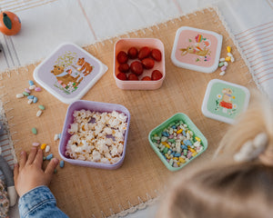 Petit Monkey snackbox set animals picnic 12 x 12 cmLB57-R