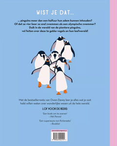 Pientere pinguins 9 jr+