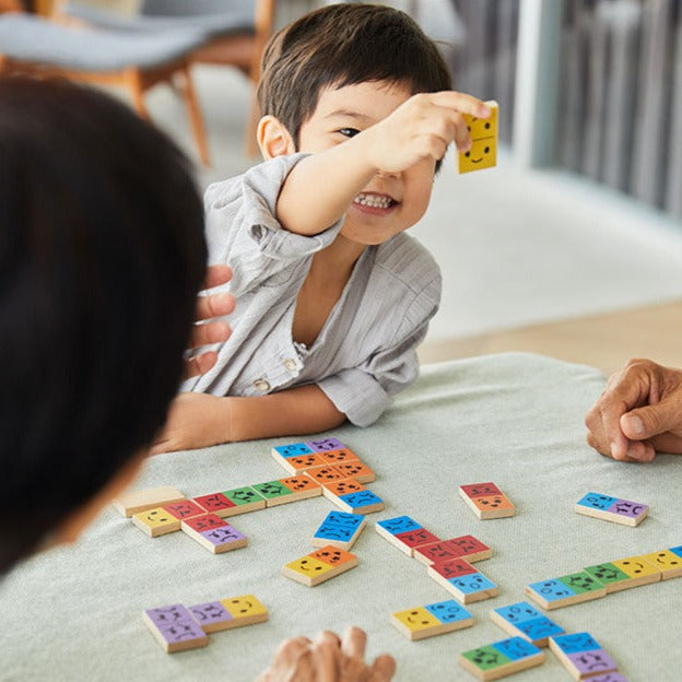Plan Toys domino emoties 3 jr+ kopen
