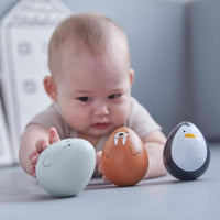 Plan Toys tuimelaar zeehond 6 m+