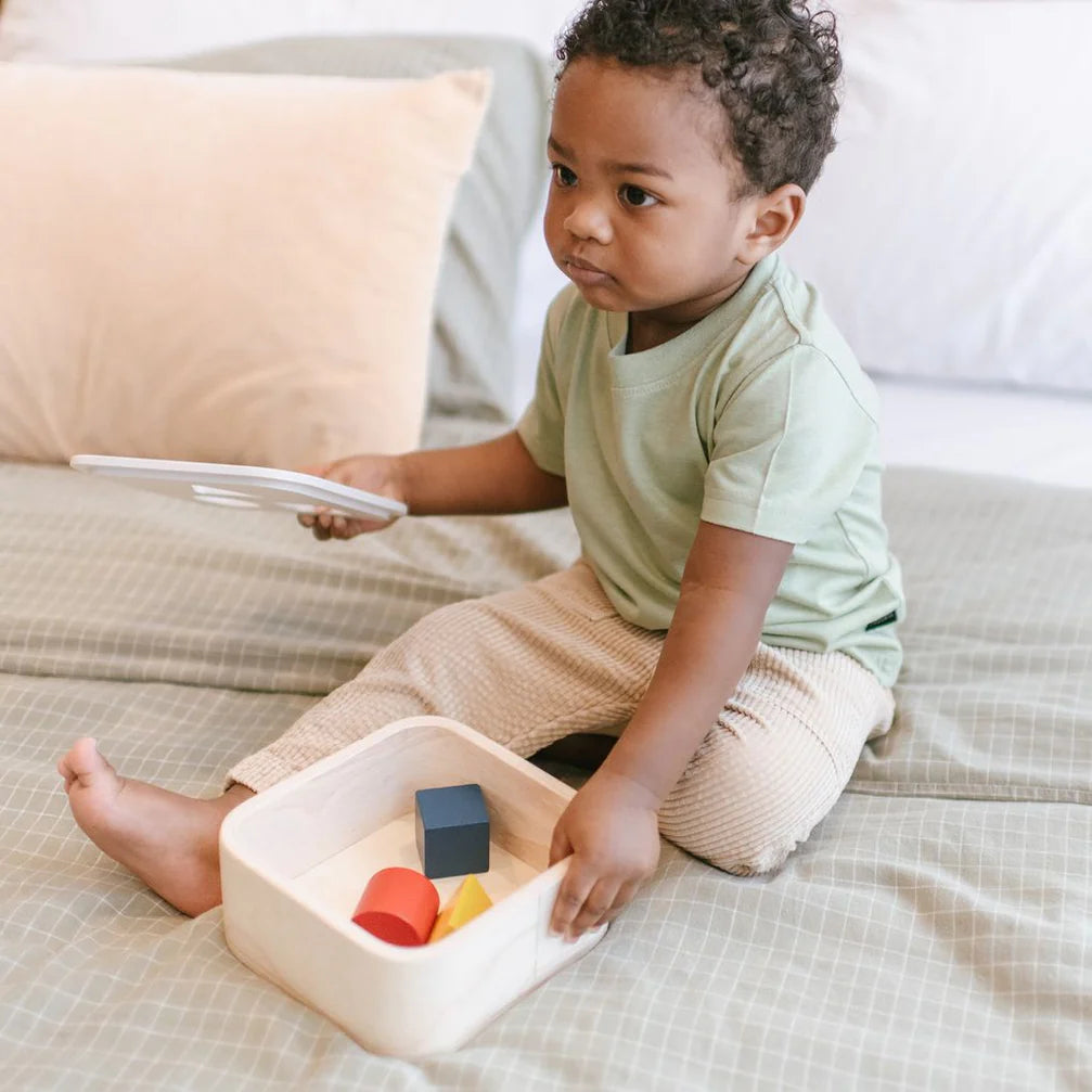 Plan Toys vormenstoof 1 jr+ kopen