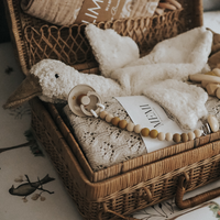 Senger Naturwelt warmte knuffel gans wit klein 2 mnd+