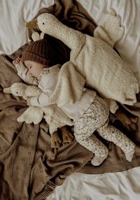 Senger Naturwelt warmte knuffel gans wit klein 2 mnd+