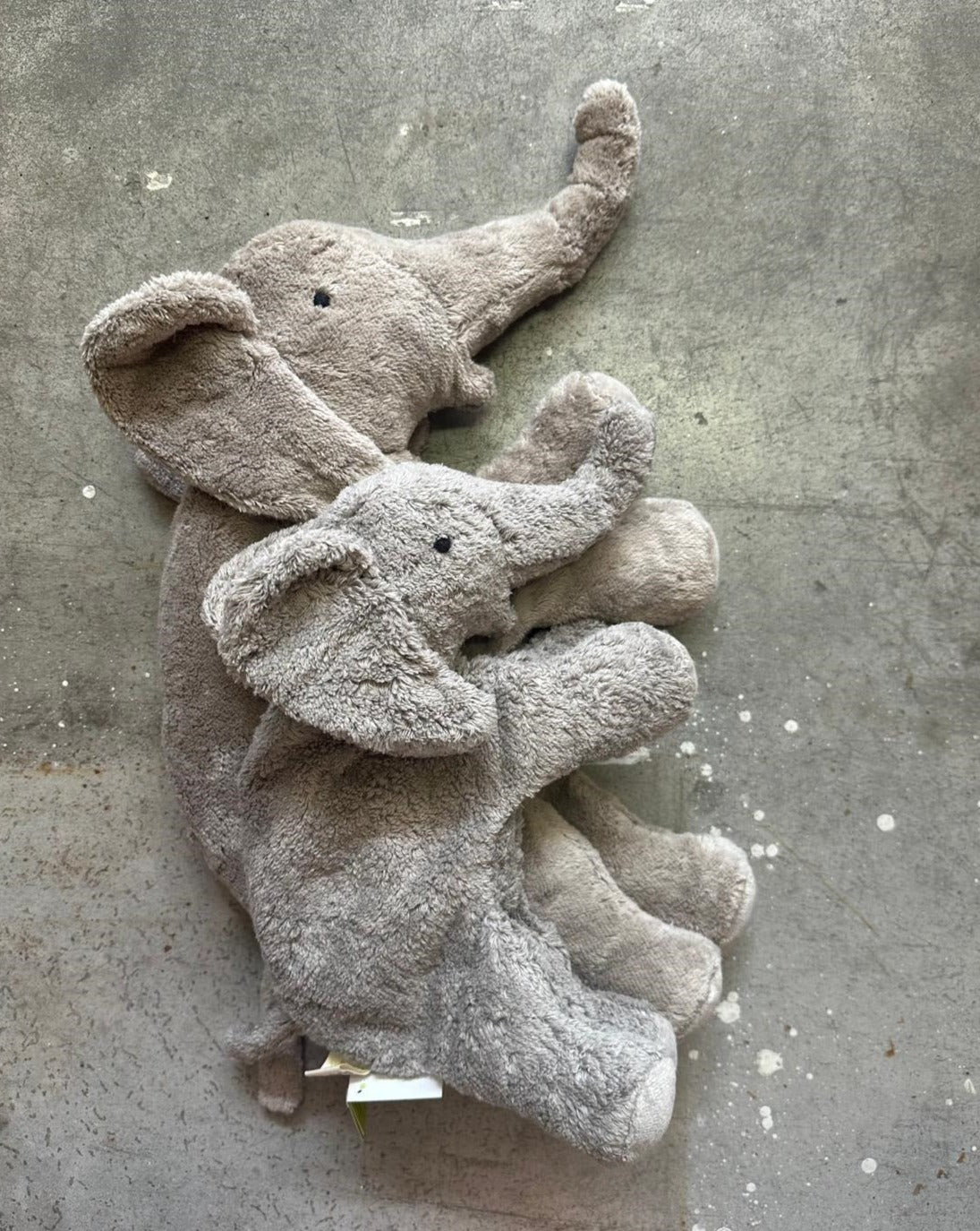 Jellycat Olifant - Smudge Knuffel - bestellen? Dé Speelgoedwinkel Jellycat Olifant - Smudge Knuffel - bestellen? Dé Speelgoedwinkel