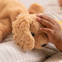 Steiff knuffel hondje floppy Lumpi 20 cm lichtbruin 4001505242595 c