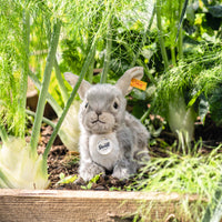 Steiff_knuffelkonijn_Dormili_21cm_grijs_4001505067488_b