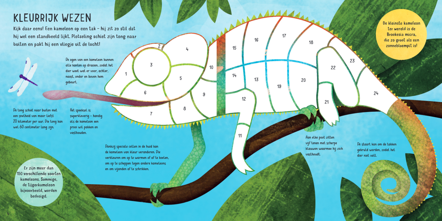 StickersplakkenopnummerJungle 9789463549196 b