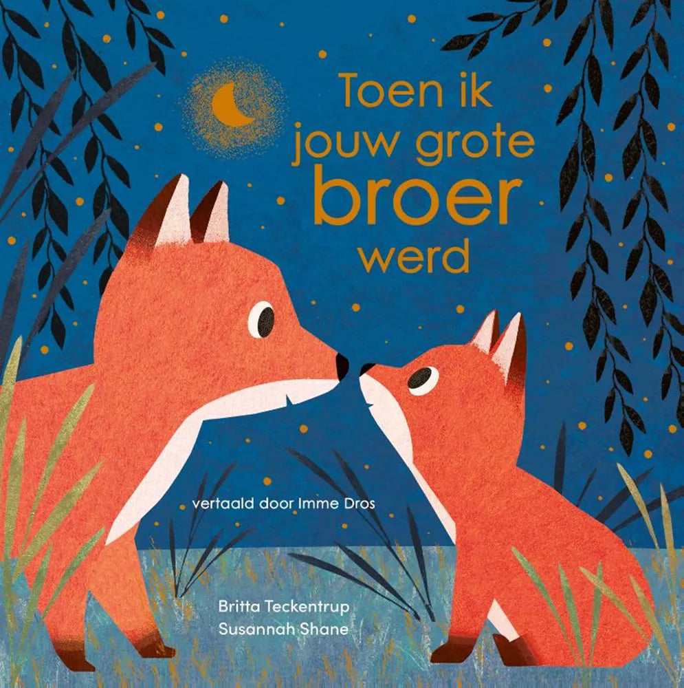 Toen ik jouw grote broer werd 3jr 9789025885922 a