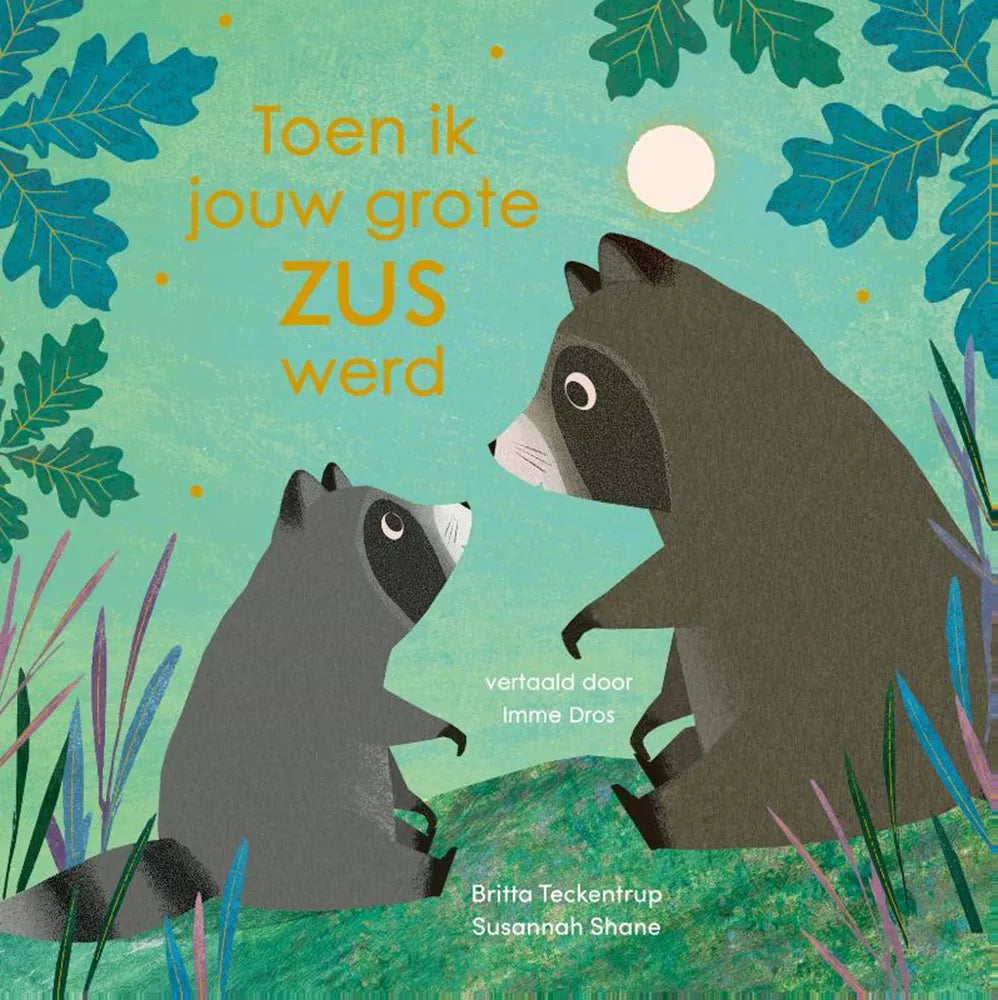 Toen ik jouw grote zus werd 3jr 9789025885915 a