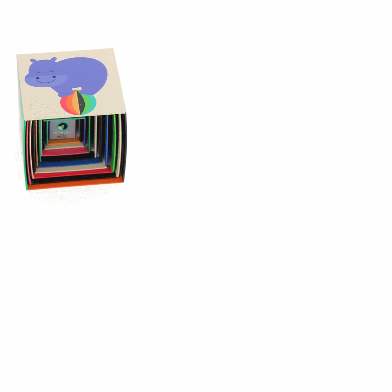 VILAC stapeltoren regenboog 1 jr+