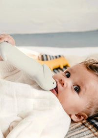 We are gommu bijtspeeltje teckel Ocean 0 mnd+