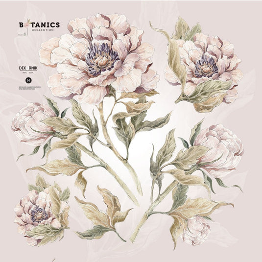 Dekornik muursticker Pioen S